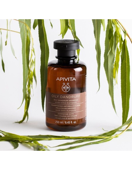 Envase del champú Apivita anticaspa grasa con extracto de sauce blanco.