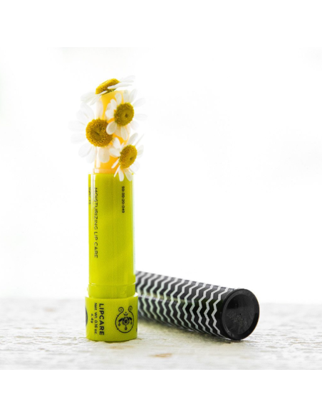 APIVITA LIP CARE Bálsamo Labial con Camomila SPF 15 | Labios Sensibles