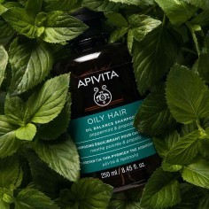 Apivita Champú Equilibrante para regular el cabello muy graso. 2