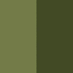 Verde Muschio - Giada 82K2