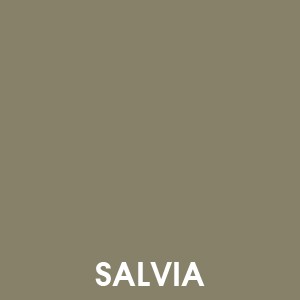 Salvia 82OM12