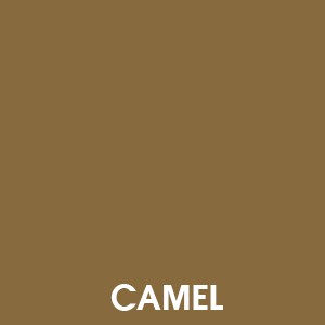 Camel 55